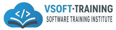 VSoft Institute